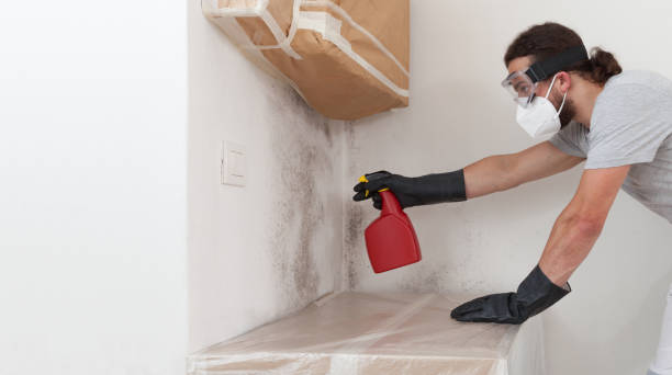 Professional Attic Mold Removal technician working in Winchester, MA