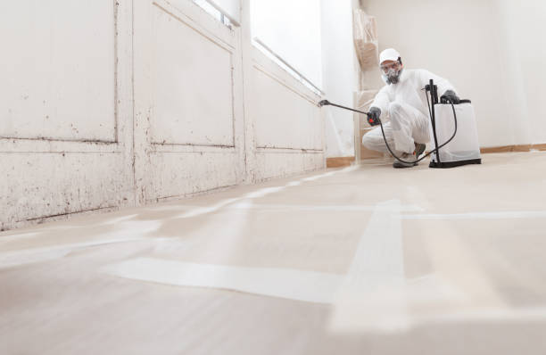 24/7 Emergency Attic Mold Removal experts in Winchester, MA