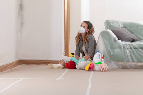 Reliable Attic Mold Removal contractor in Winchester, MA by WQB Mold Removal